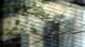 gen_av_grille02